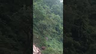 DEKHO KHANDODHAR JALOPROPAT lovenature [upl. by Ydisahc]