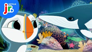 Oona and Silky’s Baby Whale Rescue Mission 🐋 Puffin Rock  Netflix Jr [upl. by Pliam]