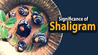 Significance of Shaligram  Shaligram Benefits  Artha [upl. by Gavini800]