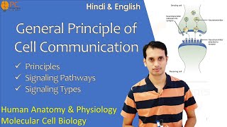 Cell communications Cell Signaling Process Intracellular Signal Transduction Pathways [upl. by Gardell]