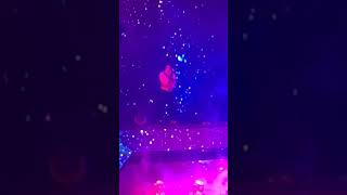 Did Chris brown do DDG viral TikTok dance Moonwalking in Calabasas CONCERT [upl. by Roer]