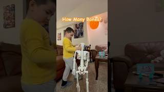 Bennett Knows How Many Bones We Have [upl. by Karlene]