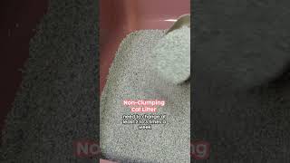 Clumping vs NonClumping Cat Litter 😸⁠😸 ⁠ ⁠ [upl. by Burgwell]