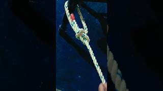 Deferent Type Bowline Knots trending vtuber diy viralvideo bowknot bowline [upl. by Oiramaj]