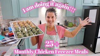 Chicken Meal Freezer Day Tons of New Recipes Monthly Freezer Meal Prep [upl. by Rentsch]