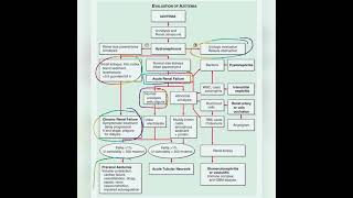 Approach to Azotemia Harrison [upl. by Rebmit815]