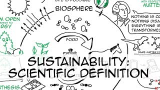 Sustainability simple definition whiteboard animation [upl. by Haidebej]