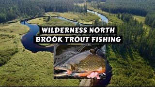 Wilderness Brook Trout by Canoe [upl. by Lirrehs]