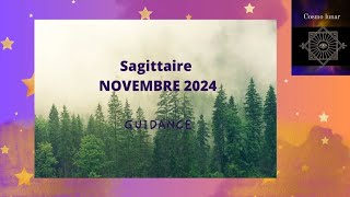 Sagittaire ♐ Mois de novembre 2024 ✨ Un mois plutôt cool 👍 [upl. by Moitoso]