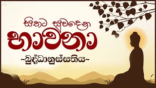 සිතට සුවදෙන භාවනා  බුද්ධානුස්සතිය  Buddhanussathi Bawanawa [upl. by Ahsiryt470]