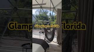 Awesome Glamping Dome Site Found In Florida [upl. by Coral636]