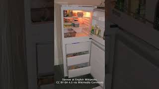 Tips While Shopping For A Left Handed Friendly Fridge [upl. by Kay902]