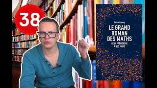 LE GRAND ROMAN DES MATHS Mickaël Launay  Défi 1 livre par semaine 38 [upl. by Derwin]