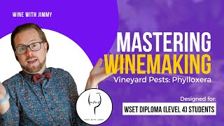 WSET Level 4 WSET Diploma Mastering Pests Phylloxera [upl. by Grady]