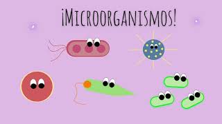 ¿Qué son los virus hongos y bacterias  Tipos de microorganismos  Ciencia para niños [upl. by Jem]