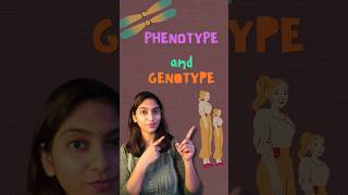 Phenotype amp Genotype  Class 12 shorts neet ytshorts [upl. by Havard]