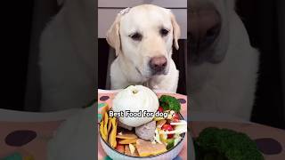 Best Food For Dogpets dogfood petfood shorts [upl. by Ecnarolf]