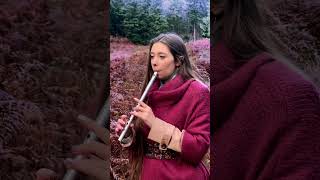 A Narnia Lullaby ❄️🌲 tinwhistle shorts [upl. by Havstad]