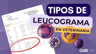 Tipos de Leucograma en la Interpretación de análisis sanguíneo 🩸 en Veterinaria de pequeños animales [upl. by Etnelav372]