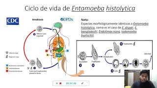 Entamoeba histolytica y su ciclo biológico [upl. by Houghton]