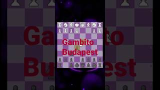 Gambito Budapest 🚀 chess ajedrez edit badparenting [upl. by Horwath209]