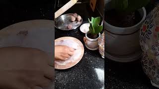 Ragi Roti ragi roti cooking foryou trending viralshorts [upl. by Maximilian648]