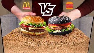 Burger Challenge  Which burger will the maggots eat faster MacDonalds VS Burger King [upl. by Binnie]