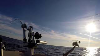 Great Lakes Salmon Fishing Fall 2017 [upl. by Elsworth]