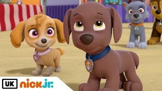 Paw Patrol  Best Friends Skye amp Zuma  Nick Jr UK [upl. by Doe]