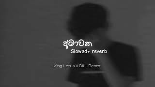 AMAWAKA  King Lotus X DILUBeats  Slowed amp reverb 🌧️🥀🍂 [upl. by Euqilegna216]