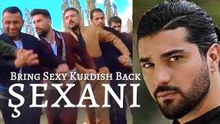 The Viral Kurdish Wedding Dance version Must watch [upl. by Gnilrits]