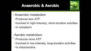 Anaerobic vs Aerobic Metabolism [upl. by Atcliffe]