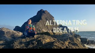 Alternative Nostril Breathing Tutorial [upl. by Alleinad]