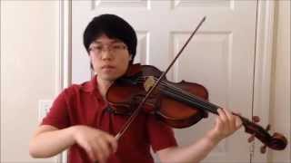 Salamander Theme  Fairy Tail  Viola Cover [upl. by Yrbua831]