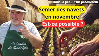 Semer des NAVETS en NOVEMBRE  Mes astuces pour réussir [upl. by Burnett]