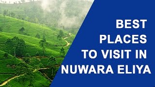 Best Places to Visit in Nuwara Eliya Sri Lanka [upl. by Alauqahs125]