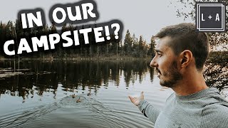 BEST Coquihalla Rest Stop RV Camping at Logan Lake BC  A Hidden GEM [upl. by Oneil]