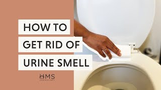 HOW TO GET RID OF URINE SMELL [upl. by Ennelram]