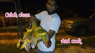 Hunting  iguana  catch  clean  cook hunting trinidad [upl. by Sibella793]