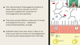 Preventing Infection at Mucosal surfaces  Part 1 2023 Update [upl. by Ymmac]