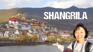 SHANGRILA  the Himalayan Utopia that turned Real I S2 EP76 [upl. by Munsey]