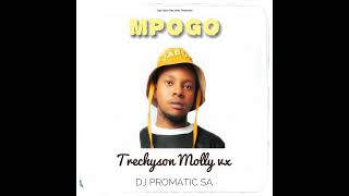 Mpogo ft DJ Promatic SA [upl. by Asiralc]