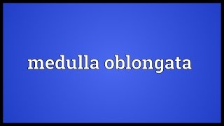 Medulla oblongata Meaning [upl. by Sell457]