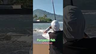 Pompano fish in the konang beach‼️MrNgatno mancingmania fishing shortvideo shots shorts [upl. by Sirtimid]