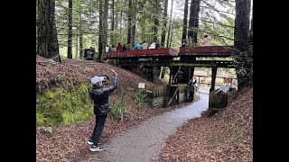 Redwood Valley Railway Full Ride 21824 [upl. by Abebi]