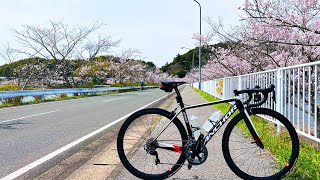 【新車】RS9の率直な感想…ううむ…【BRIDGESTONE ANCHOR】 [upl. by Helsa]