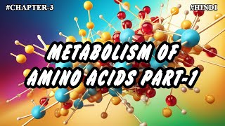 Chapter  3  Metabolism Of Amino Acids Part1  Hindi [upl. by Neelrahc265]