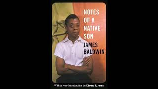 Notes of a Native Son James Baldwin Full Audiobook [upl. by Dion9]