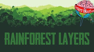 The 4 Layers of the Rainforest [upl. by Kcinnay869]