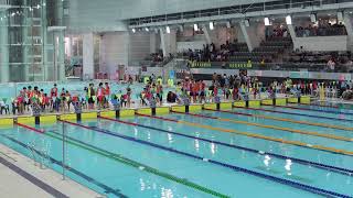 20242025 HK Div 3 Inter school Grade C Girl 4x50M FreeStyle [upl. by Hannie]